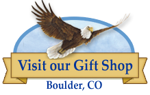 Free Production Tours & Gift Shop